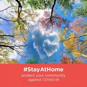 Meet your Posher, Allie